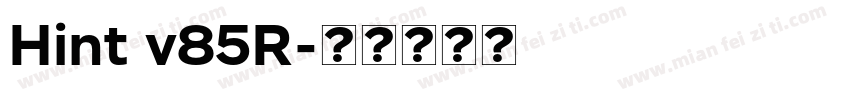 Hint v85R字体转换